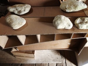 atelier juin-juillet 2018 © Jean-Marc Plumauzille