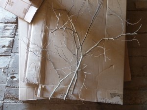 atelier juin-juillet 2018 © Jean-Marc Plumauzille
